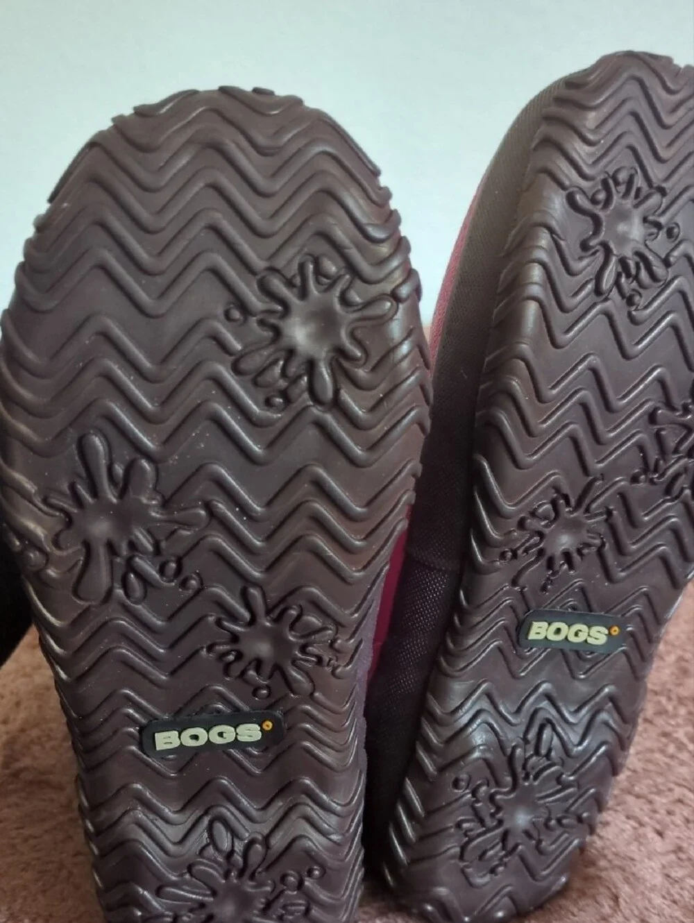 Bogs glosh by